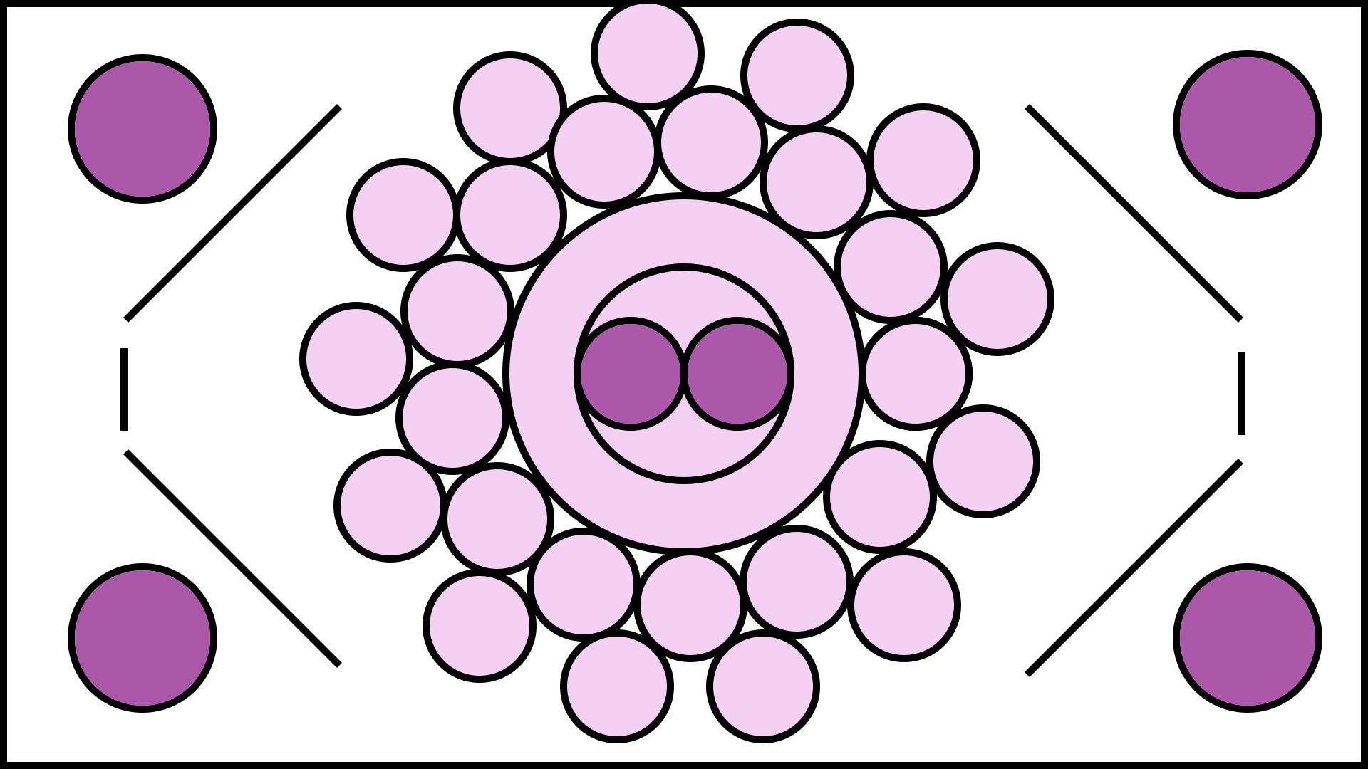 dna